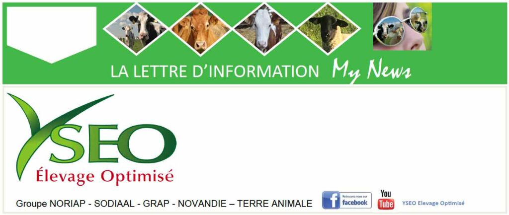 MY NEWS – La lettre d’information YSEO