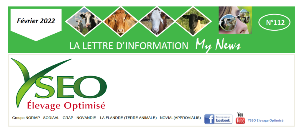 MY NEWS – La lettre d’information YSEO