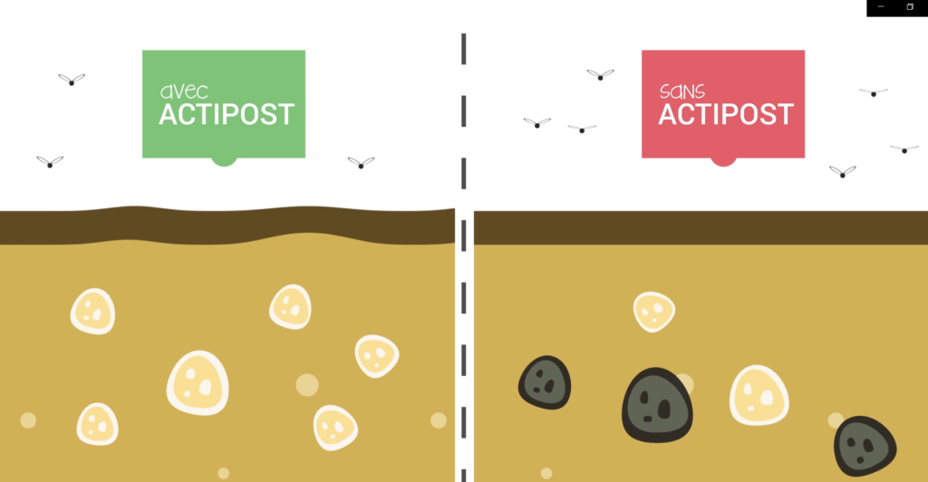 Produit Actipost pour valoriser vos effluents