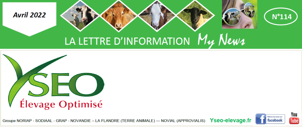 MY NEWS – La lettre d’information YSEO