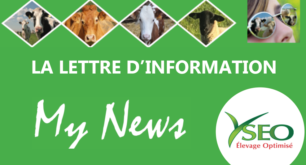 MY NEWS – La lettre d’information YSEO