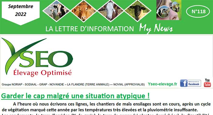 MY NEWS – Ma lettre d’information Yseo