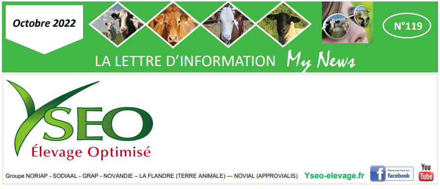 MY NEWS – Ma lettre d’information Yseo