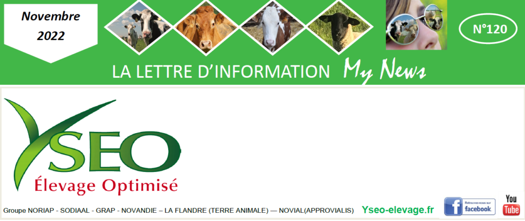 MY NEWS – Ma lettre d’information Yseo