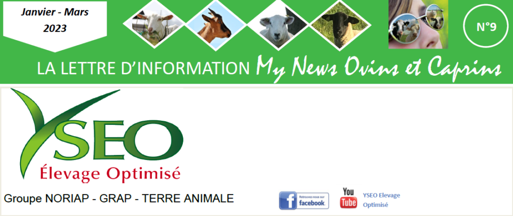 MY NEWS ovins caprins N°9 – Ma lettre d’information Yseo