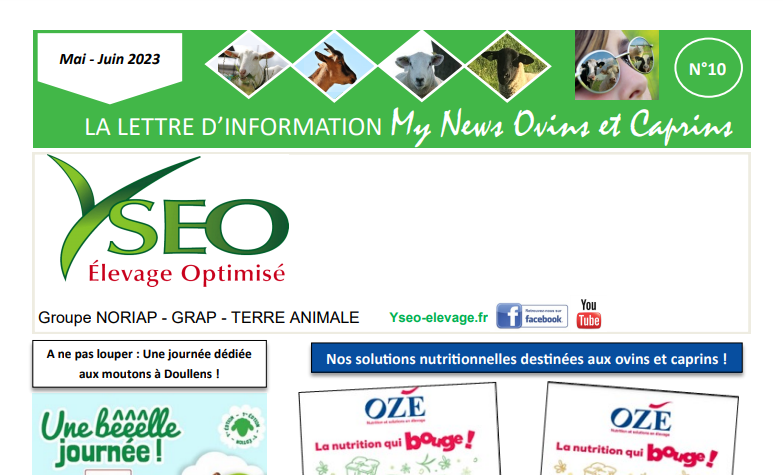 MY NEWS ovins caprins N°10 – Ma lettre d’information Yseo