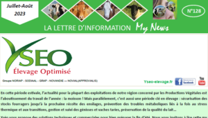 My News Yséo n°130