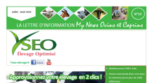 MY NEWS ovins caprins N°16 – Ma lettre d’information Yseo