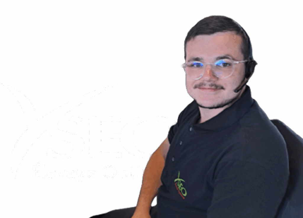 Yséo en ligne