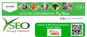 My News Yséo n°149