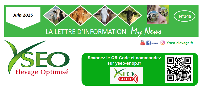 My News Yséo n°149