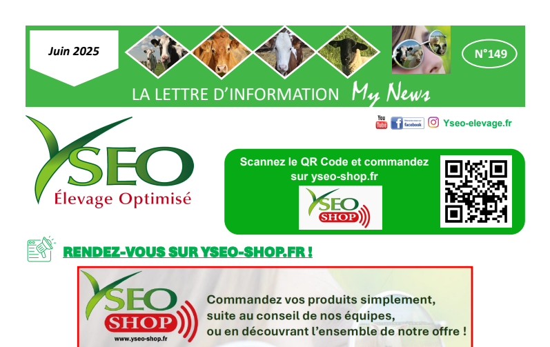 My News Yséo n°149