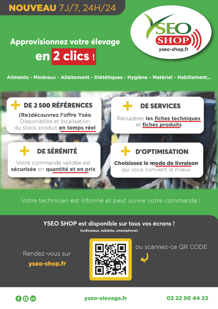 Flyer Yséo Shop