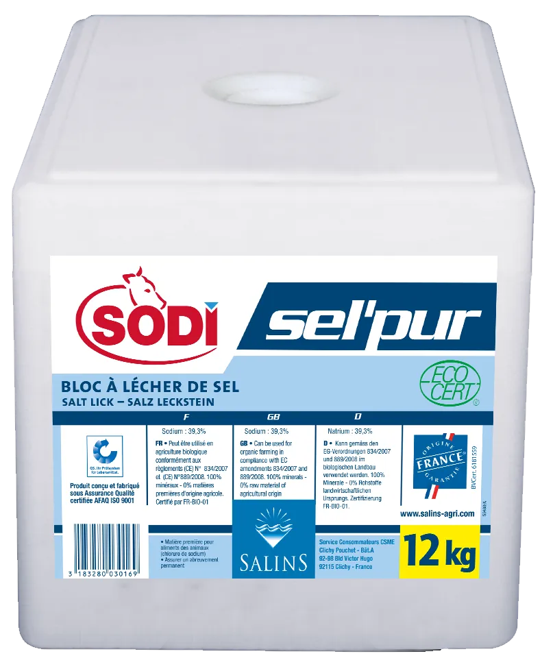 Bloc de sel