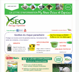 My News Ovins et Caprins n°17