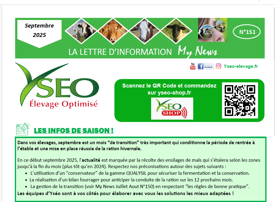 My News Yséo n°151