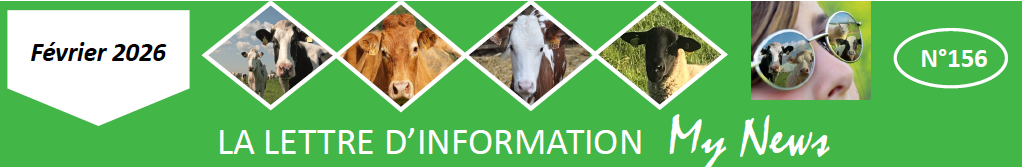 My News Yséo n°156