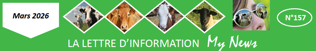My News Yséo n°157