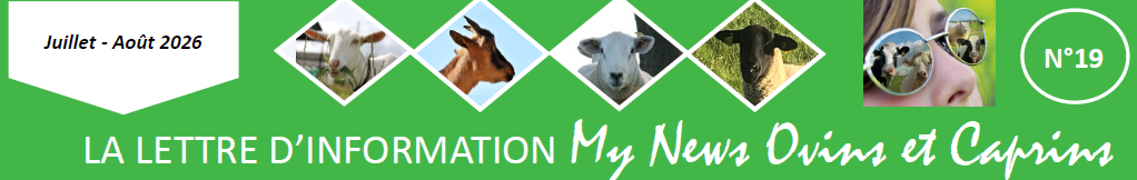My News Ovins et Caprins n°19