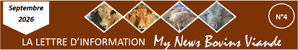 My News Bovins Viande N°4
