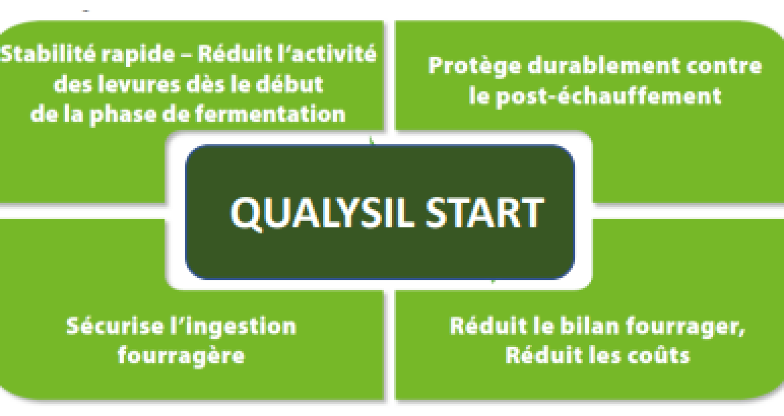 QUALYSIL START